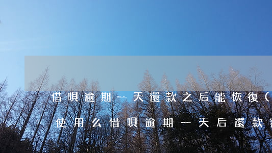 借唄逾期一天,還款之后能恢復(fù)額度使用么，借唄逾期一天后還款，額度能否恢復(fù)正常使用？